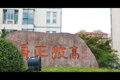 水果挞